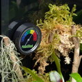 HABISTAT DIAL HYGROMETER.