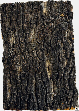 REPTO CORK PLATE 30 X 20 CM