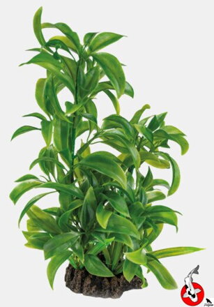 ART RASTLINA 25CM DRACAENA