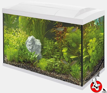 SF START 150 TROPICKÁ SÚPRAVA BIELA