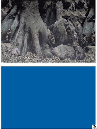 SF DECO POSTER D 100 X 49 CM