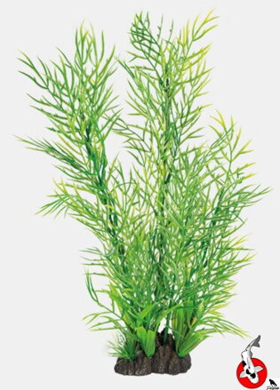 ART RASTLINA 40CM CERATOPTERIS