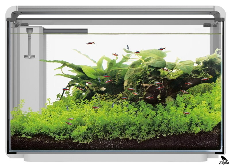 SF HOME 65 AQUARIUM bijele
