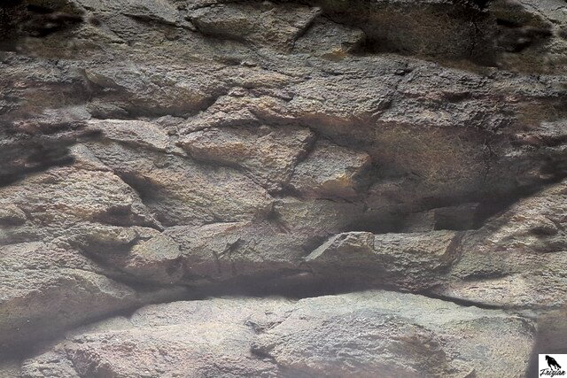 SF DECO POSTER B 100 X 49 CM