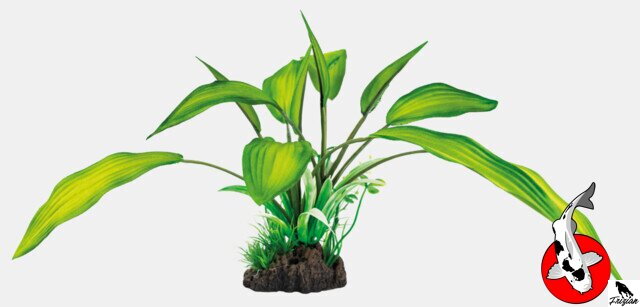 ART RASTLINA 25CM CRYPTOCORYNE