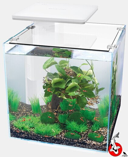 SUPERFISH QUBIQ 30 PRO Biele