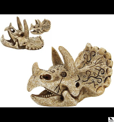  skull triceratops S 8x7x6cm